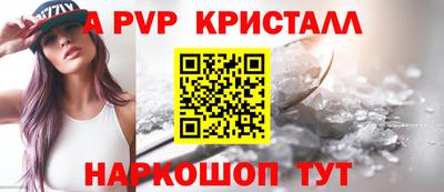 СК Будённовск