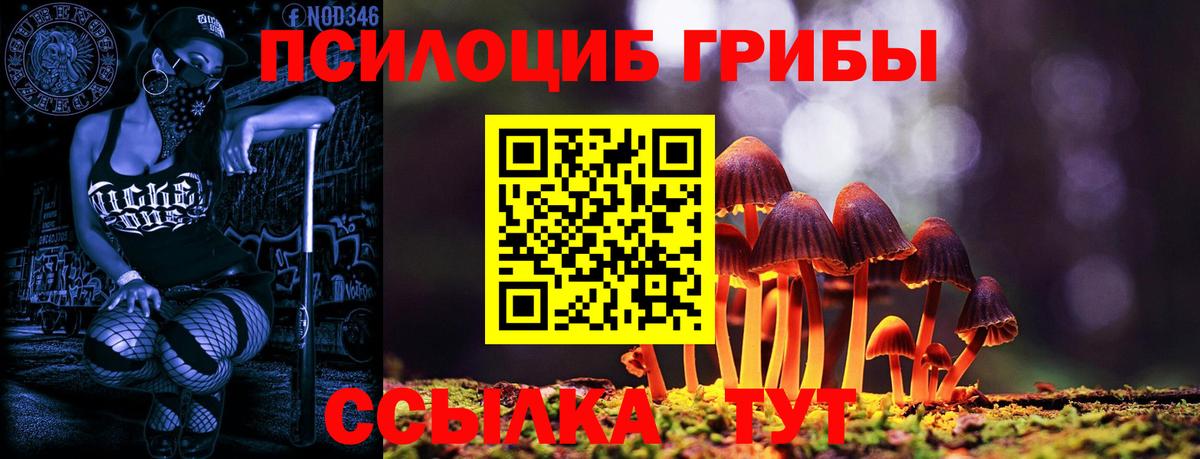 Псилоцибиновые грибы Cubensis Югорск